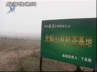 乳山南黄镇：调整农业结构　帮助农民增收