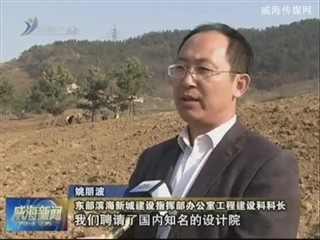 东部滨海新城绿化景观工程进展顺利
